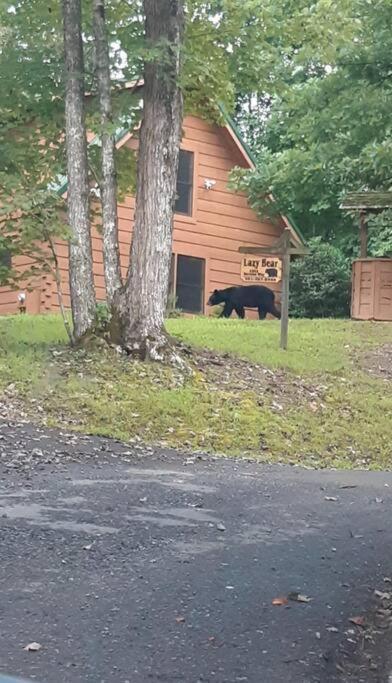 Lazy Bear Cabin Sevierville Εξωτερικό φωτογραφία